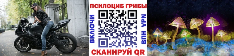 Галлюциногенные грибы Cubensis  где купить наркотик  Правдинск 